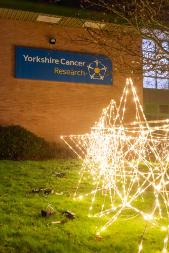 POW_241205_6543