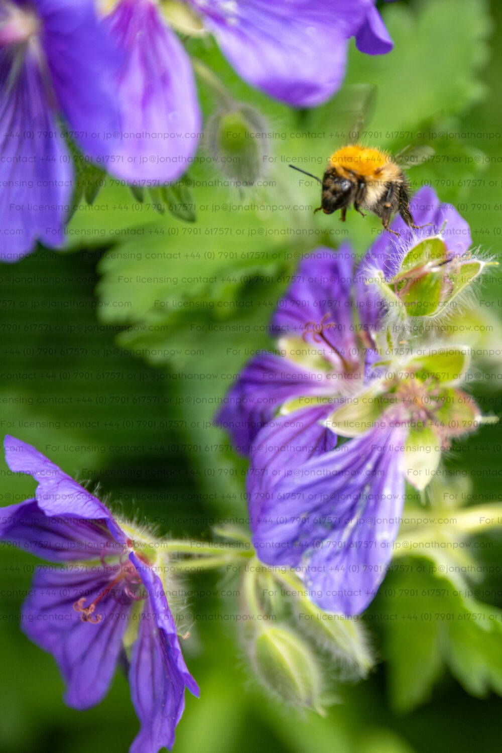 POW_260607_124241